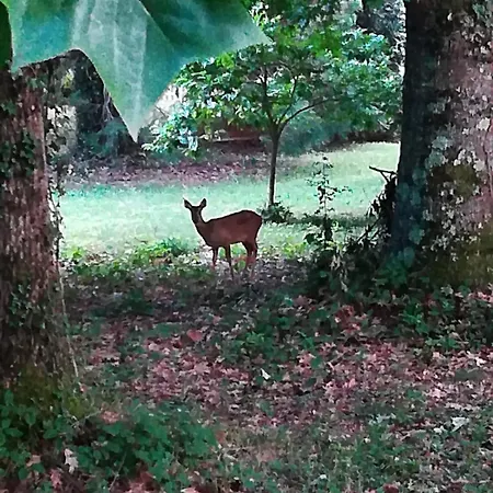 Les D'agath'anes 컨트리하우스 Ganac