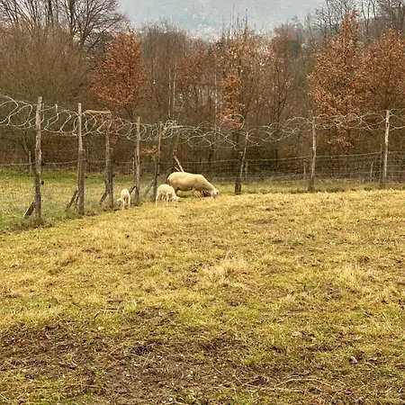 Les D'agath'anes Kır Evi Ganac