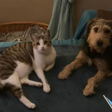 Les D'agath'anes 컨트리하우스 *