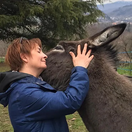 Les D'agath'anes 컨트리하우스