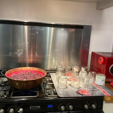 Les D'agath'anes Landsted